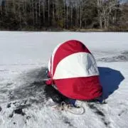 まさっち