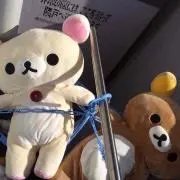 Tomoの画像