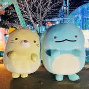ふわとろの画像