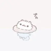 ポコの画像
