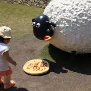 ちいの画像