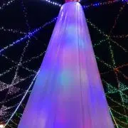 YANGの画像