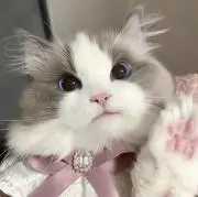 ririの画像