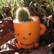 ポテ