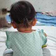 ウサギの画像
