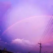 ringooooの画像