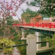 天婦羅蕎麦