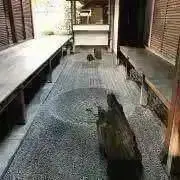 casaDKY6/15-27休プロフ必読の画像