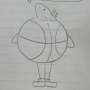 さめの画像