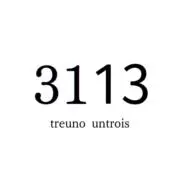 Image of 3113 used clothing