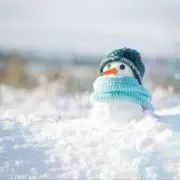 お寿司の画像