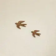asmの画像