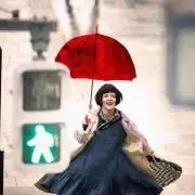 きなりの画像