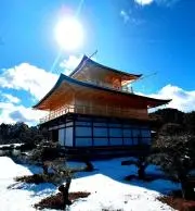 kusagameの画像