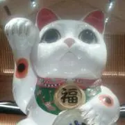わた