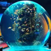 まふの画像