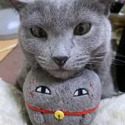あまぞねす♡の画像