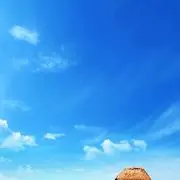 ツッチーの画像