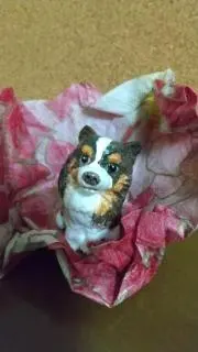 ハマちゃんの画像