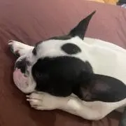 らむ