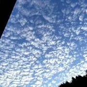 cielblue☆の画像
