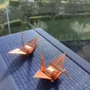 kinの画像