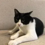 ゆり