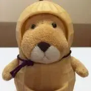 ナノマルの画像