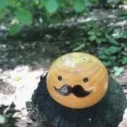 ぽんずーむの画像