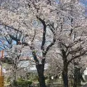 アサコ☆プロフ必読下さい☆の画像
