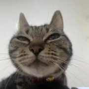 なつきの画像