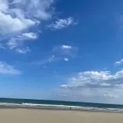 オレオの画像