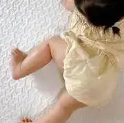 yの画像
