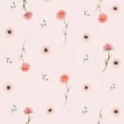 hana