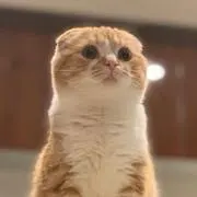 まぁ〜さん