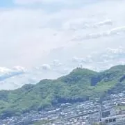 ピーコックバス