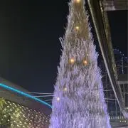 Riuの画像