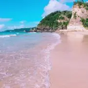 Harupapaの画像