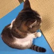 オレンジ