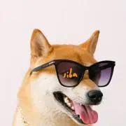 しば犬の画像