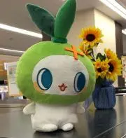 TOM（プロフ欄内容を確認願います）の画像