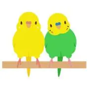✨ちゅうちゃん✨即購入どーぞ✨の画像