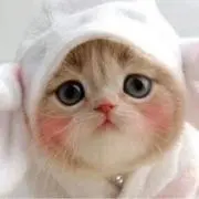 ちょりちゃんの画像