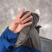 ナマコの画像