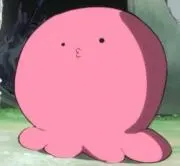 いるか　即購入OKの画像