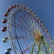 カンダテの画像