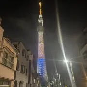 きっとちんの画像