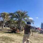 rnrnの画像