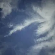 miraiの画像