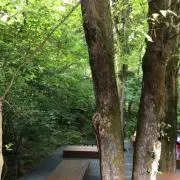 faiblementの画像
